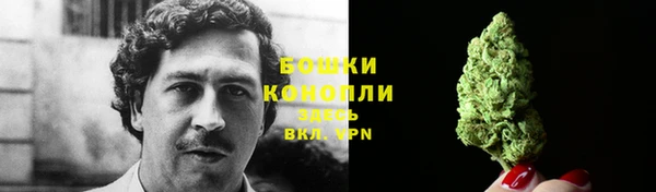 прущая мука Бородино