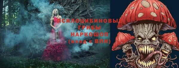 гидропоника Богородицк
